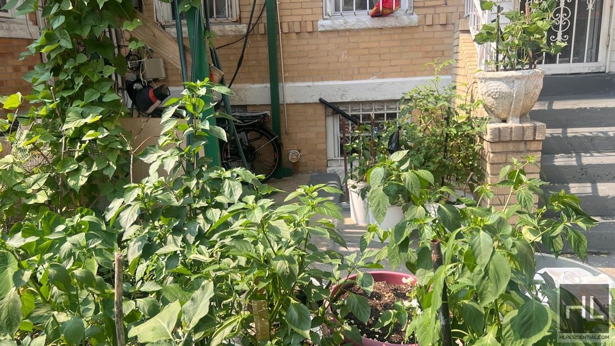 75-15 97th Avenue 1 Ozone Park Queens NY 11416