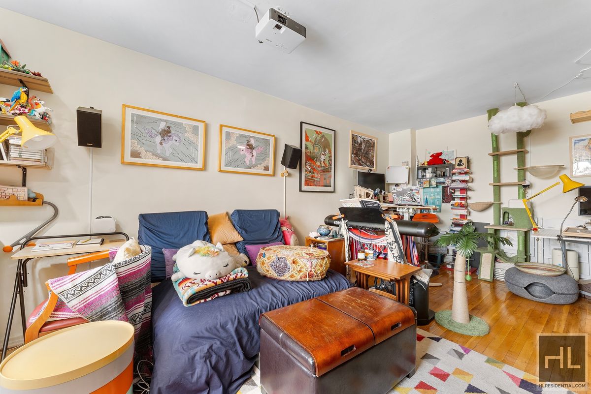 285 East 35th Street 6K East Flatbush Brooklyn NY 11203