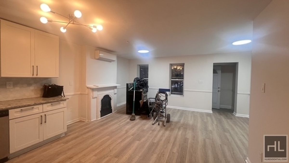 1195 Saint Marks Avenue 1 Weeksville Brooklyn NY 11213