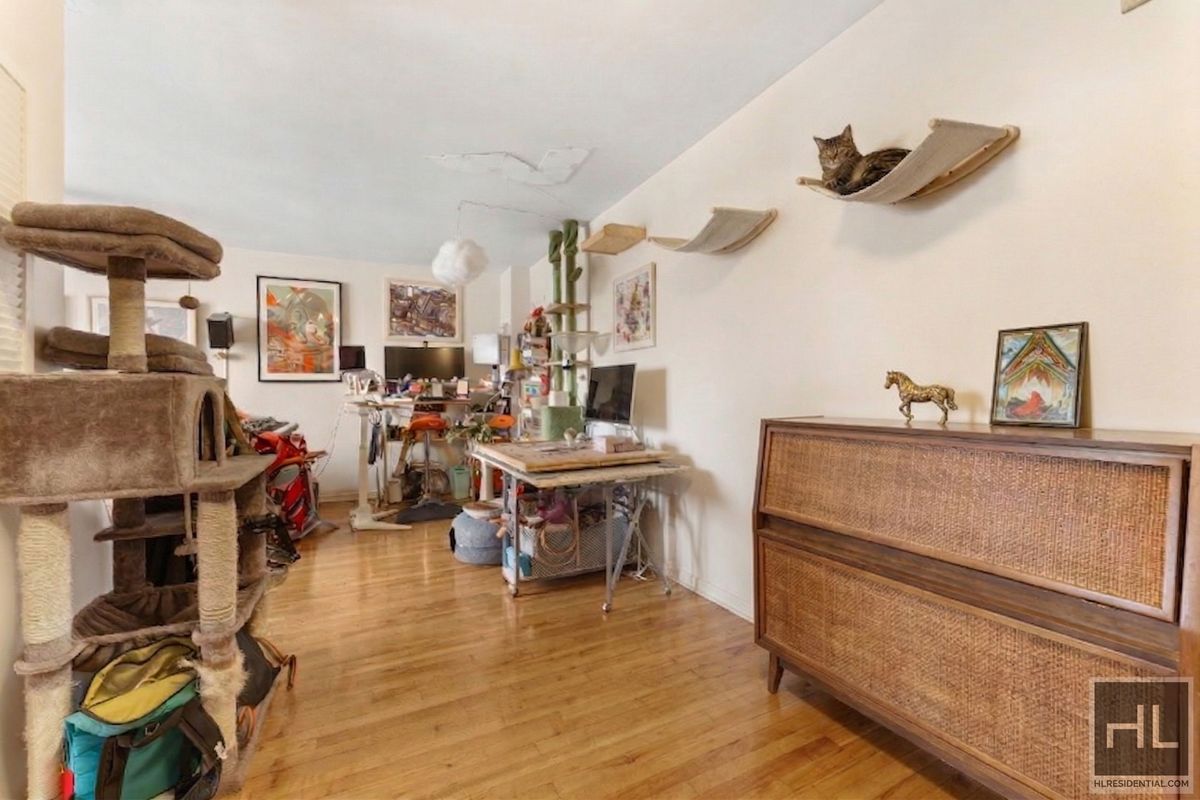 285 East 35th Street 6K East Flatbush Brooklyn NY 11203