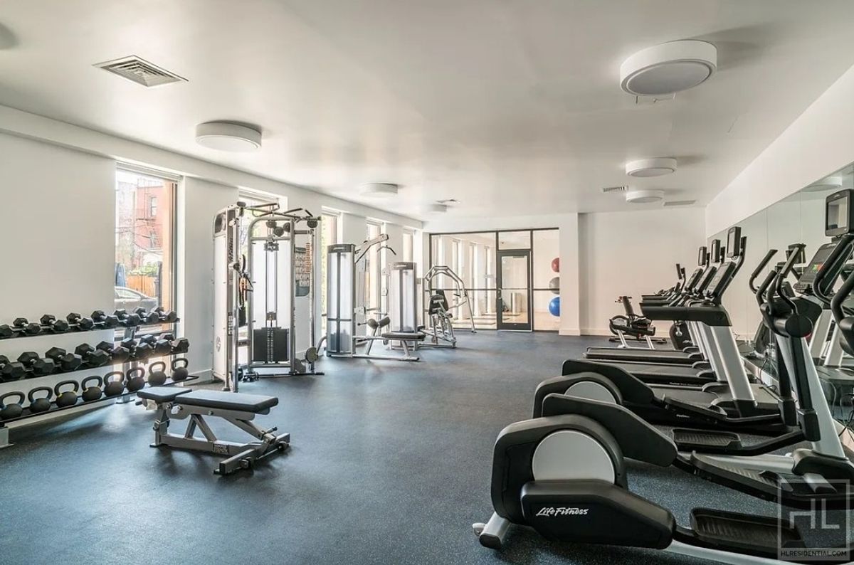 310 Clarkson Avenue 819 Flatbush Brooklyn NY 11226