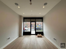 Image for LOTT AVENUE