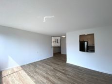 Image for SECOND AVENUE