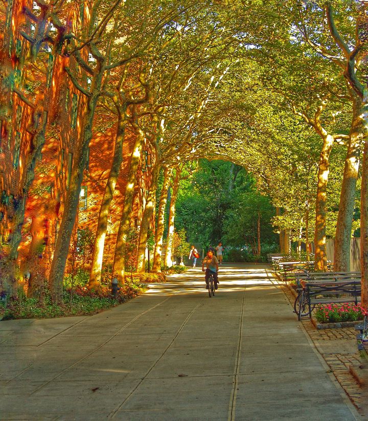 Stuyvesant Town photo