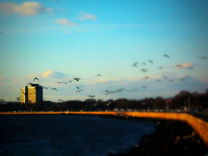 Bensonhurst neighborhood photo