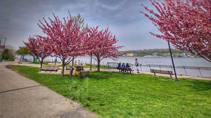 West Harlem neighborhood photo