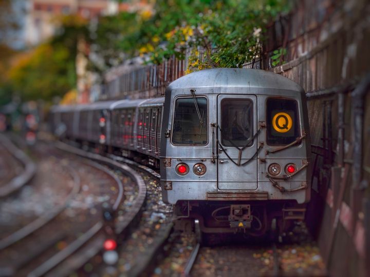 Prospect Lefferts Gardens neighborhood photo