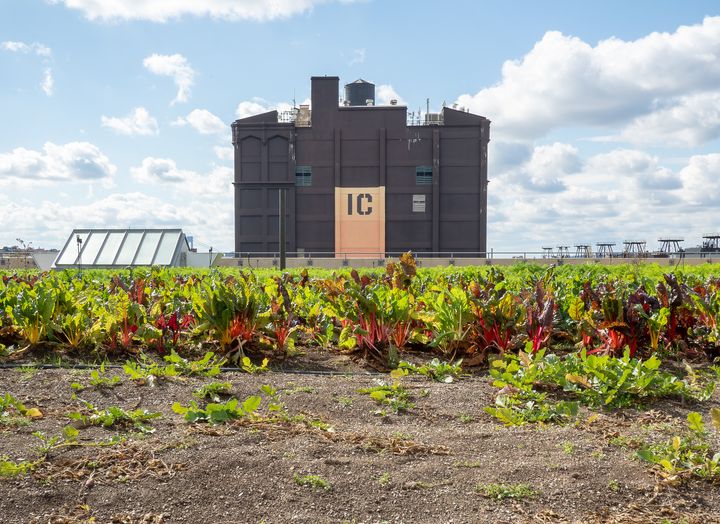 Sunset Park neighborhood photo