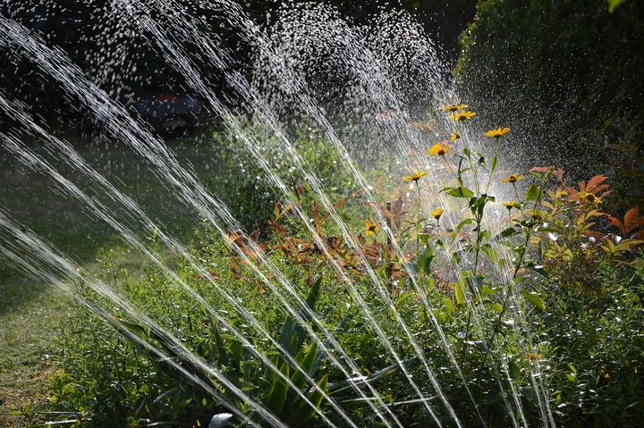 The Importance of Landscaping and Irrigation
