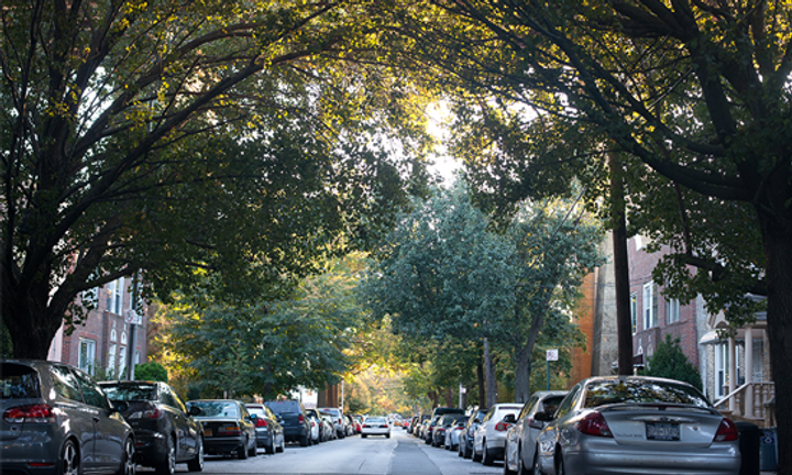 Queens Sales Activity Report