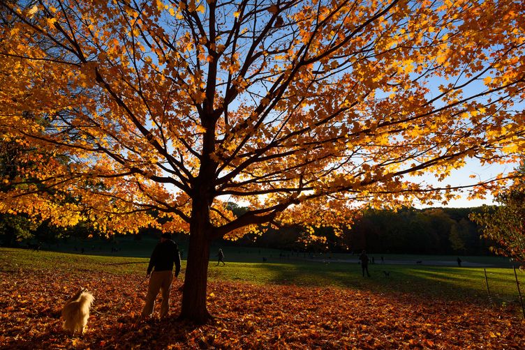 Photo for Windsor Terrace - NYC