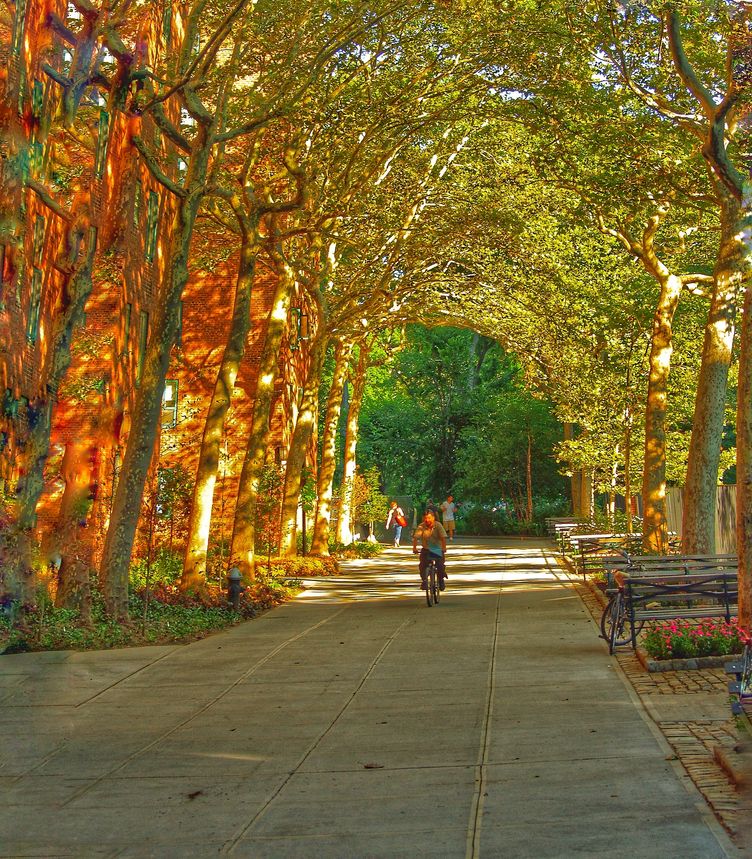 Photo for Stuyvesant Town - NYC