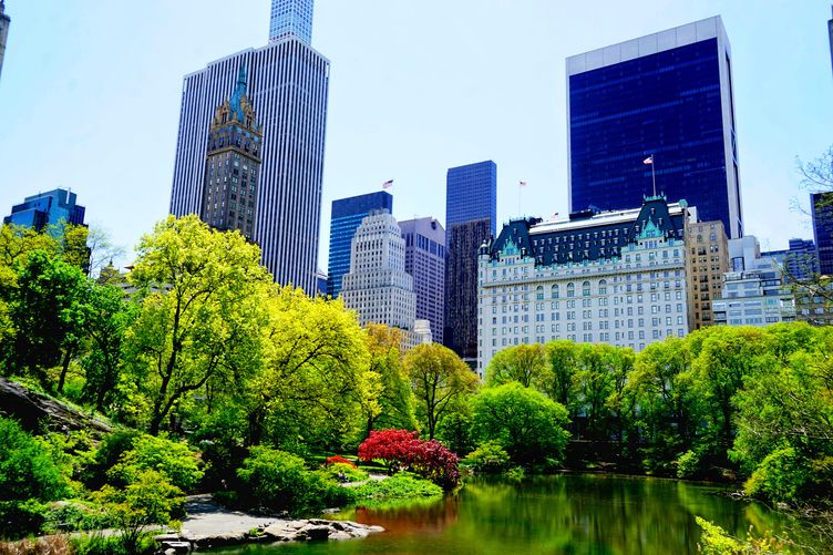Photo for Central Park South - NYC