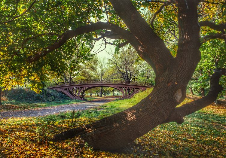 Photo for Upper Manhattan - NYC