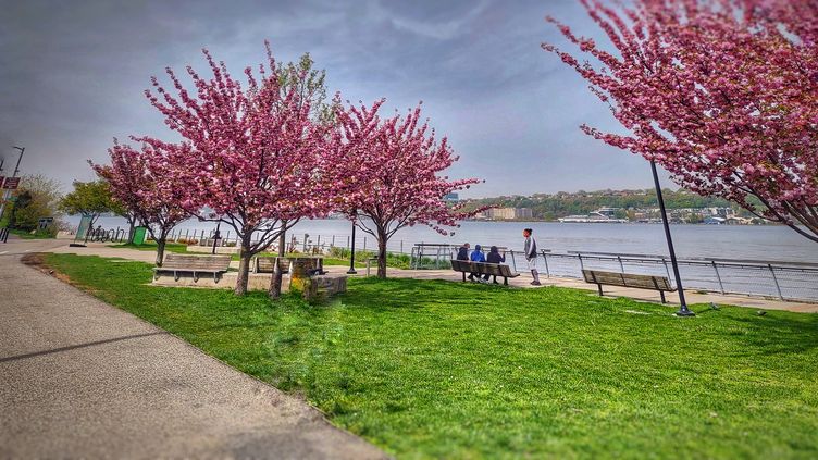 Photo for West Harlem - NYC